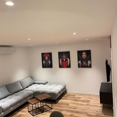 Penthouse, Offenburg,Europapark Apartman Kültér fotó