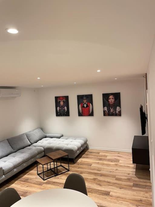 Penthouse, Offenburg,Europapark Apartman Kültér fotó
