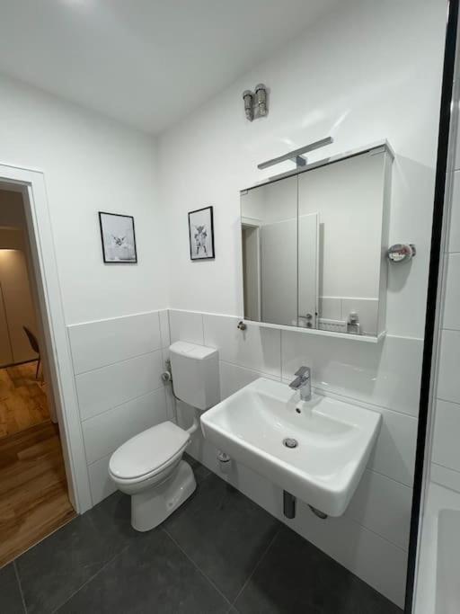 Penthouse, Offenburg,Europapark Apartman Kültér fotó